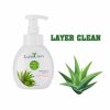 Nước rửa tay dạng bọt hương lô hội trà xanh (330 ml)